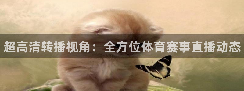 超高清转播视角：全方位体育赛事直播动态