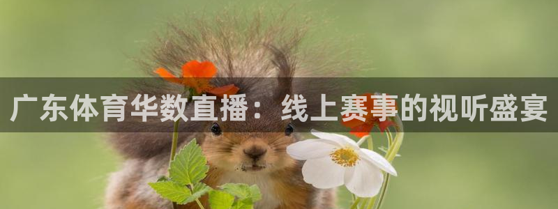 广东体育华数直播：线上赛事的视听盛宴