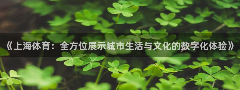 《上海体育：全方位展示城市生活与文化的数字化体验》