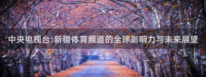 中央电视台:新疆体育频道的全球影响力与未来展望