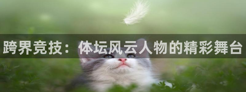 跨界竞技：体坛风云人物的精彩舞台